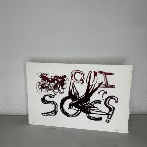 QUI SÓC?
